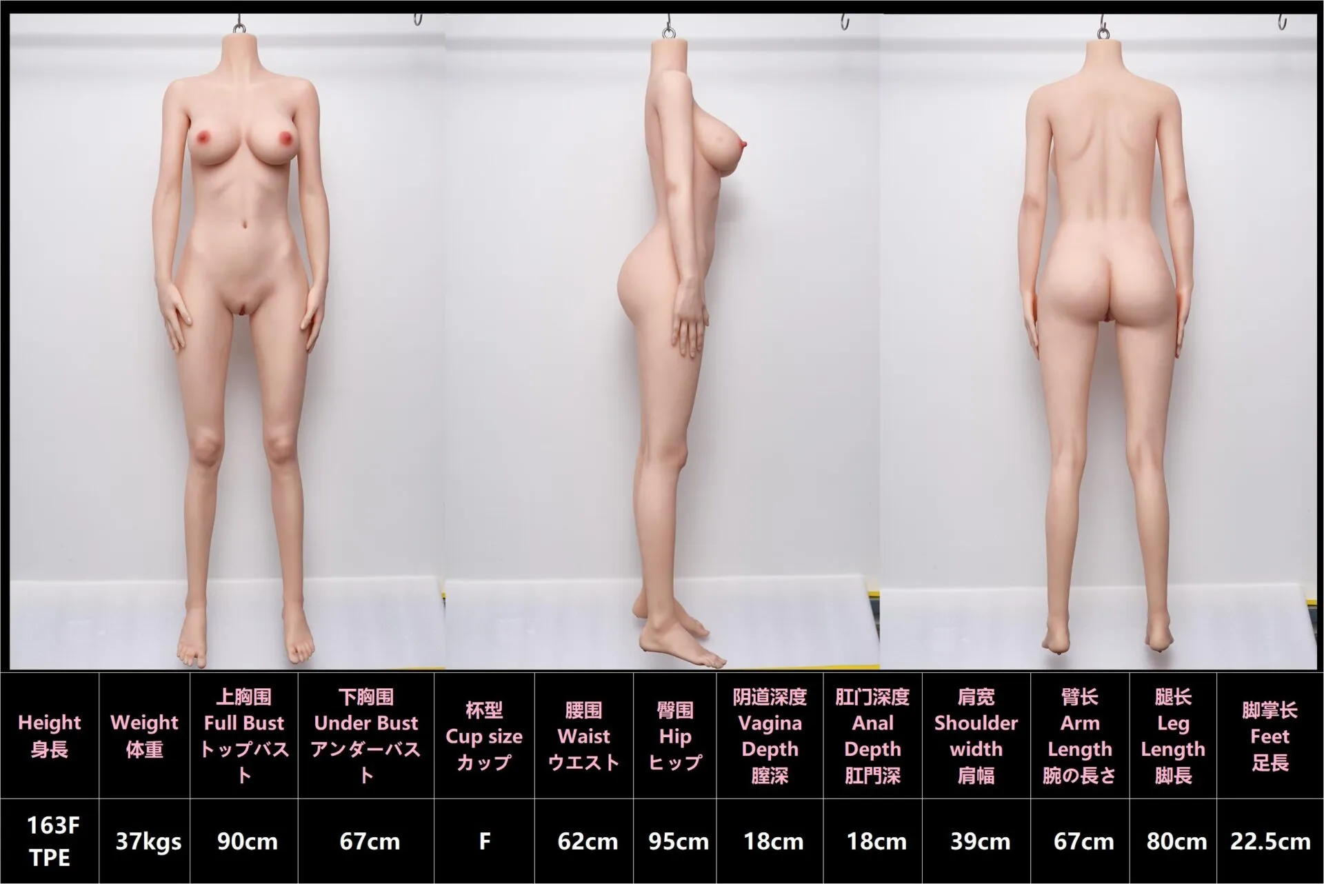 5ft 4in / 163cm F-Cup Silicone Head & TPE Body Sex Doll- Evelyn - Image 44 - Angel Desires